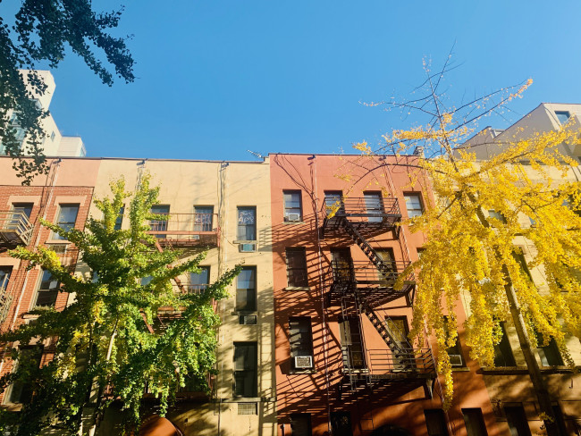 brightly colored apartment buildings surrounded by trees in Upper East Side, Manhattan