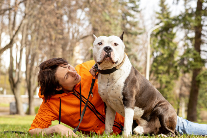 Woman on a walk in the park with her dog. Staffordshire Bull Terrier