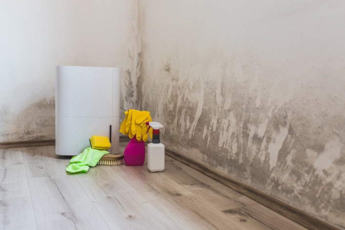 A moldy apartment floor and walls