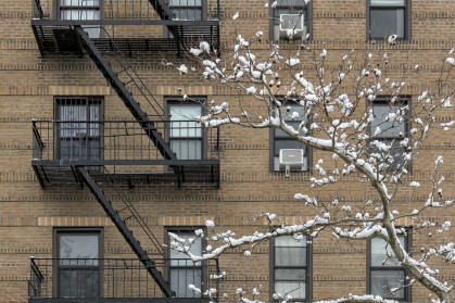 Snow covered tree in front of tall brick apartment building (high rise residential home) with fire escape, windows, snowing, winter in brooklyn new york city stock photo