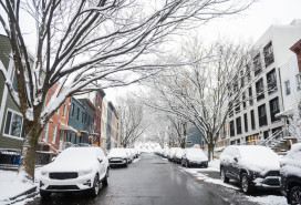 Snow Covered Cars Parked in Brooklyn New York