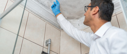 insurance adjuster inspecting mold