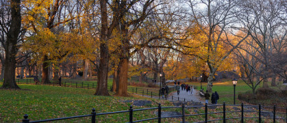 Central Park in New York