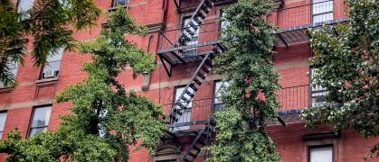 Walking and enjoying the typical neighborhoods like the Bronx of New York City, with its brick buildings and exterior fire escapes and emergencies. Thank you This photo has been successfully downloaded. (Look for it in your Downloads folder or the last place you saved a file.) Having issues? Download again Credit:Domingo Saez Romero Stock photo ID:2060608839 Upload date:March 08, 2024 Location:United States Categories:Stock Photos|The Bronx